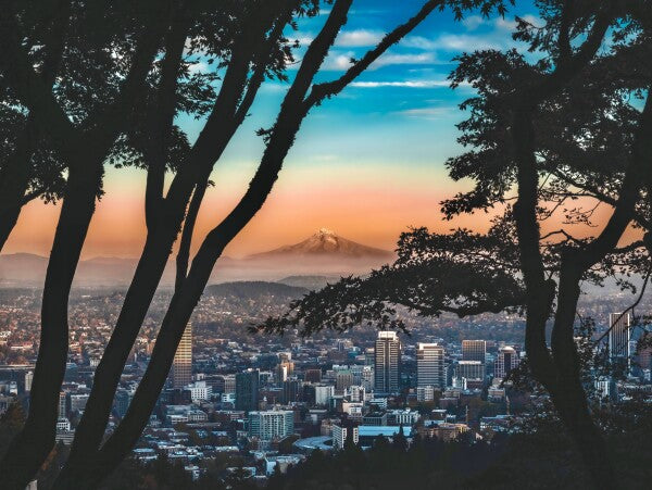 Technicolor PDX (2025)