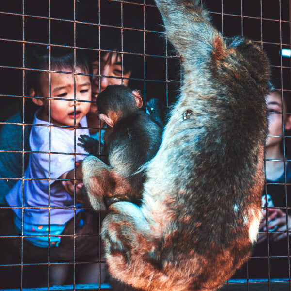 Baby Talk