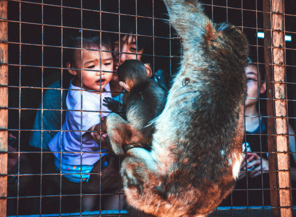 Baby Talk