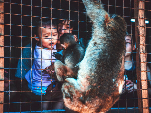 Baby Talk