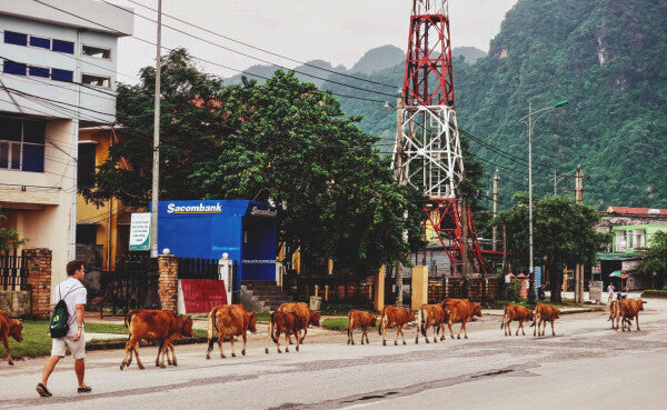 Country Commute