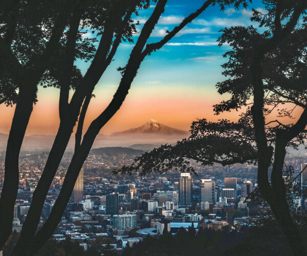 Technicolor Portland