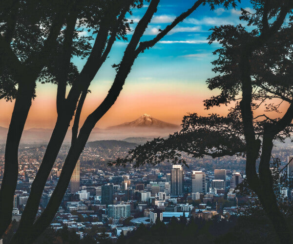 Technicolor Portland