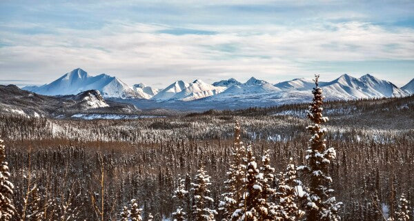 Denali Skyline pt. 1