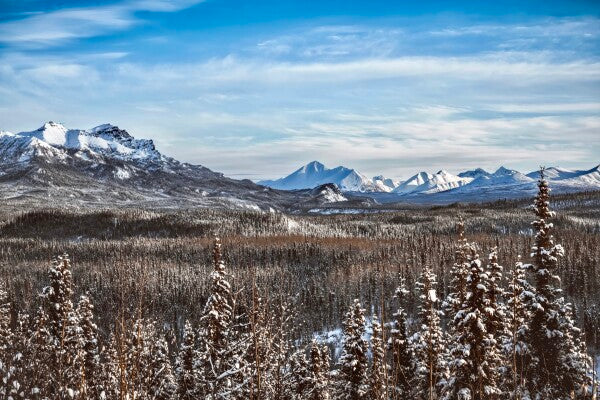 Denali Skyline pt. 2
