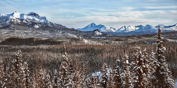 Denali Skyline pt. 2