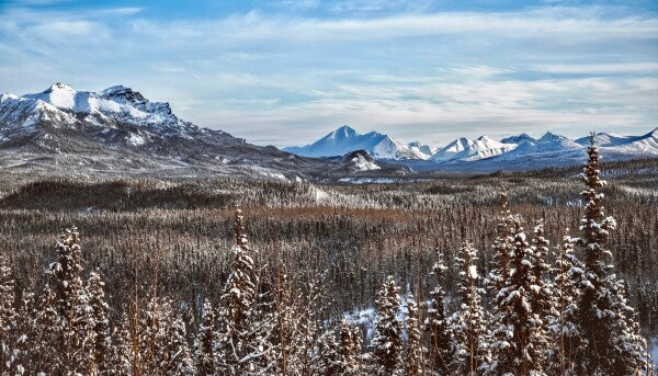 Denali Skyline pt. 2
