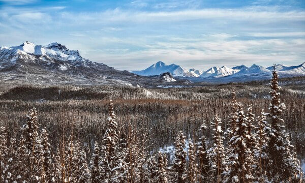Denali Skyline pt. 2