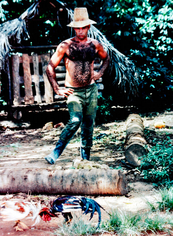Rooster Ranger (35mm Film)