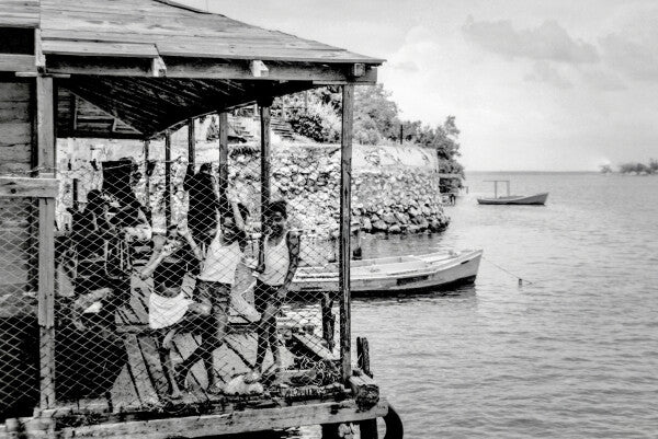 The Watchers on the Water (35mm Film)