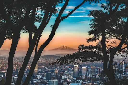 Technicolor PDX (2025)