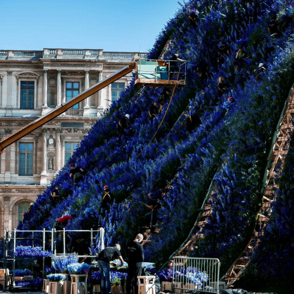 Louvre in Purple