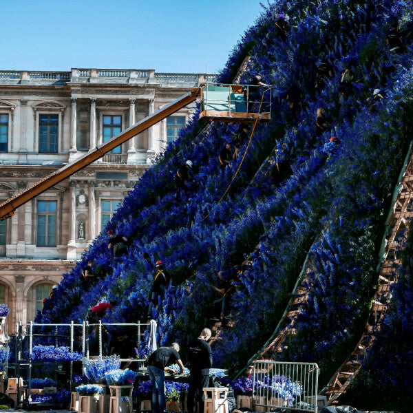 Louvre in Purple