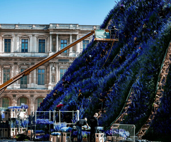 Louvre in Purple