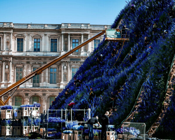 Louvre in Purple