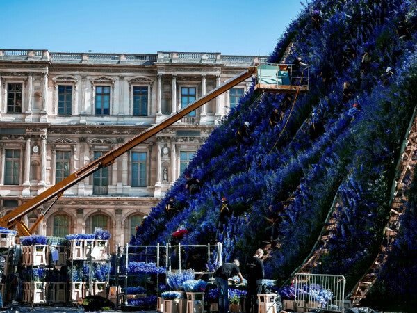 Louvre in Purple