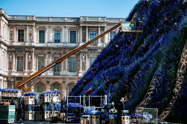 Louvre in Purple