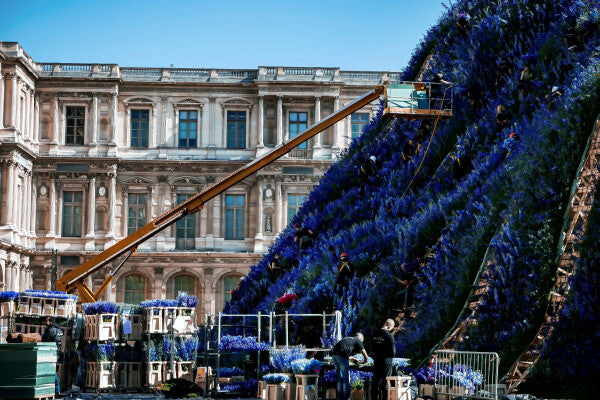 Louvre in Purple