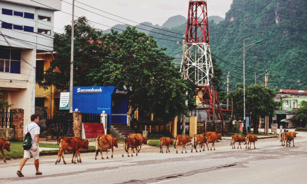 Country Commute