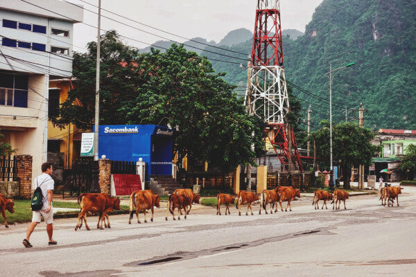 Country Commute