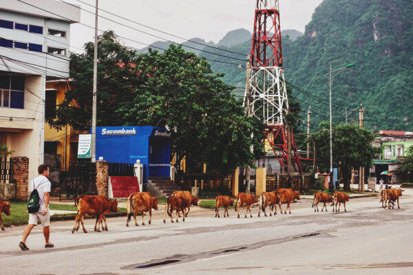 Country Commute