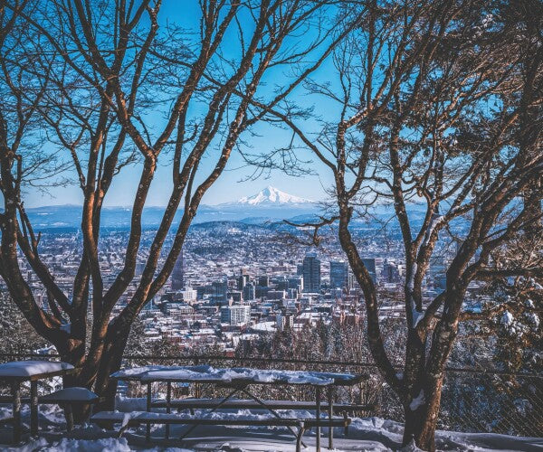 Portland Winter Window