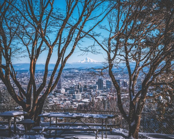 Portland Winter Window