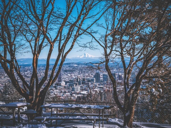 Portland Winter Window