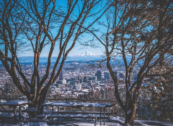 Portland Winter Window