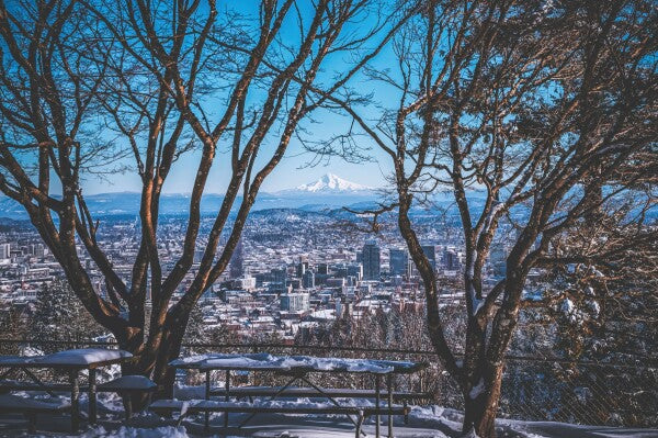 Portland Winter Window