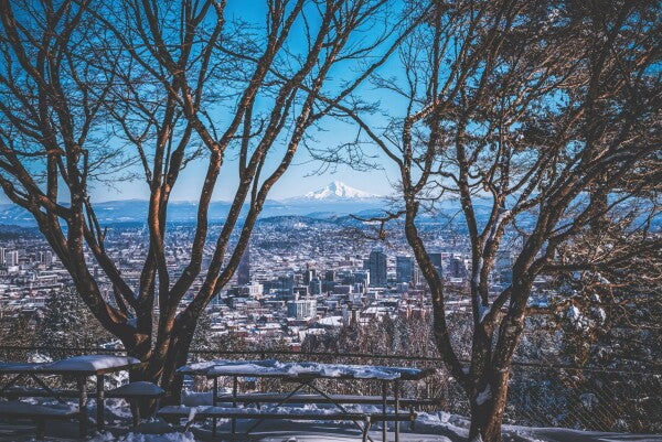 Portland Winter Window