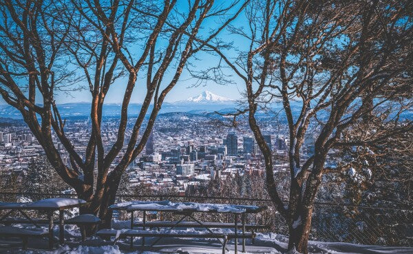 Portland Winter Window