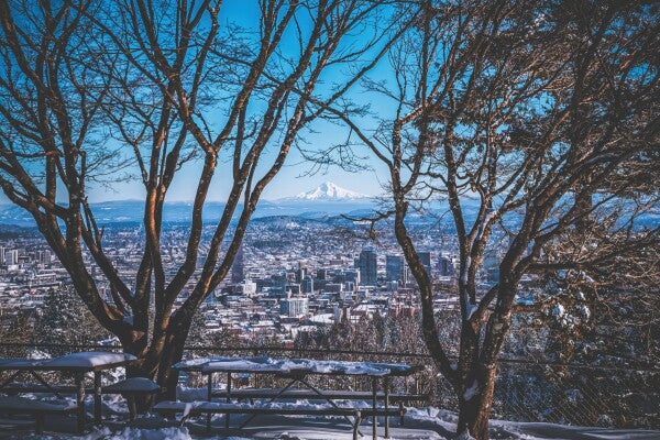 Portland Winter Window