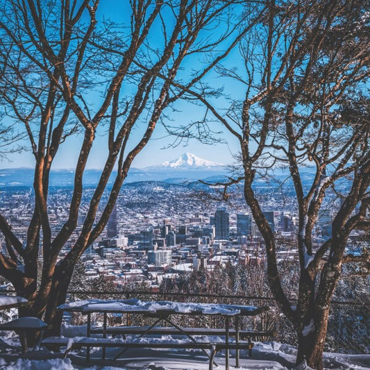 Portland Winter Window