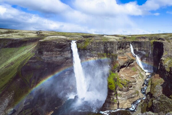 The Whole Rainbow