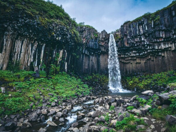 Broken Fall – RS Photography