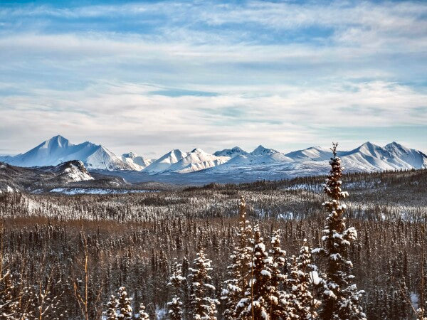 Denali Skyline pt. 1