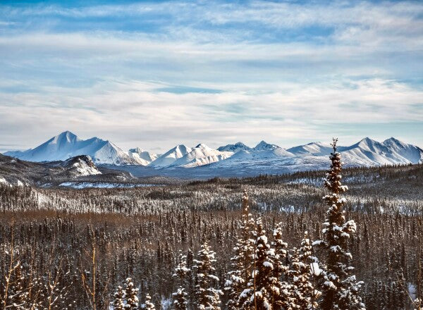 Denali Skyline pt. 1