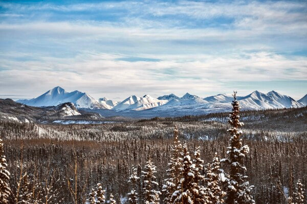 Denali Skyline pt. 1