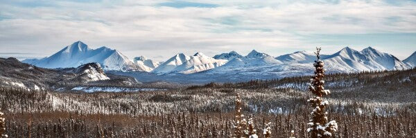 Denali Skyline pt. 1