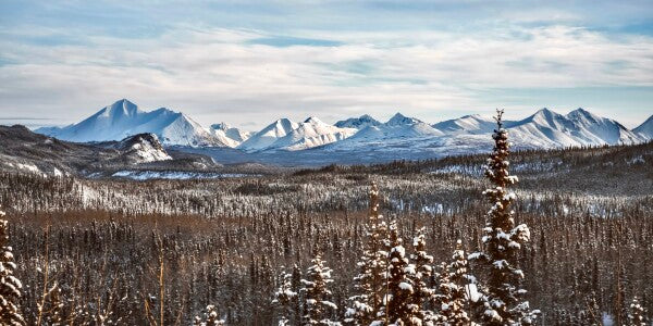 Denali Skyline pt. 1