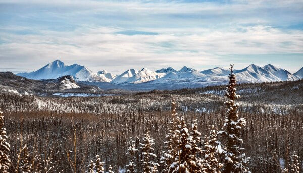 Denali Skyline pt. 1