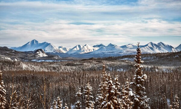 Denali Skyline pt. 1