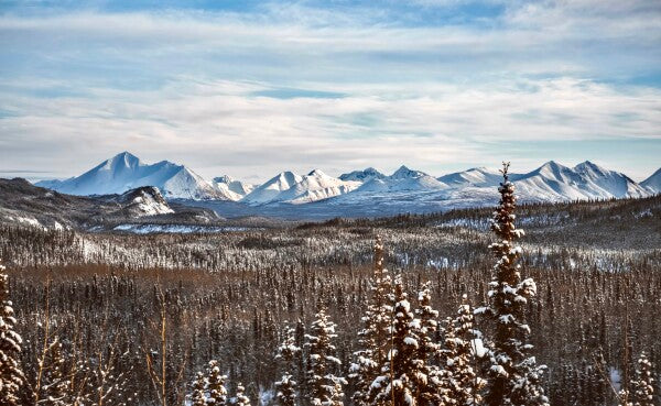 Denali Skyline pt. 1