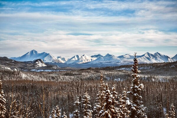 Denali Skyline pt. 1