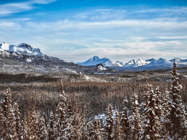 Denali Skyline pt. 2