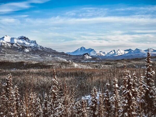 Denali Skyline pt. 2