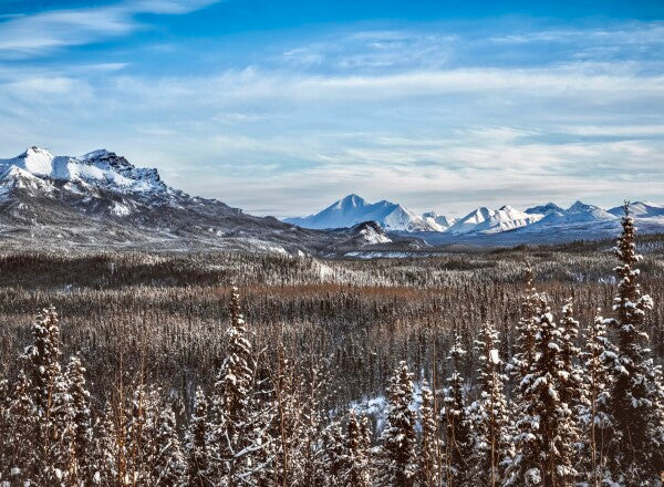 Denali Skyline pt. 2