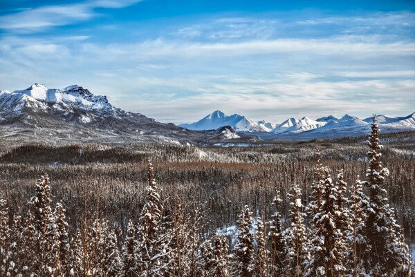 Denali Skyline pt. 2