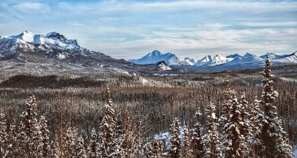 Denali Skyline pt. 2